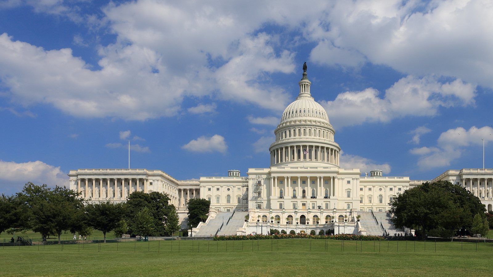 The United States Capitol grounds with summer trees and lawn